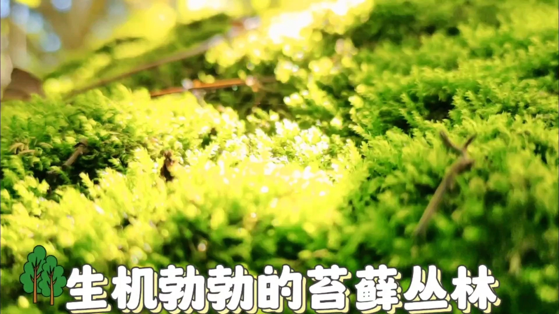 出門(mén)呼吸大自然的饋贈(zèng)