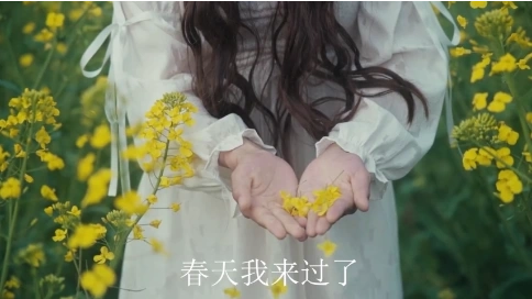 春天的氣息