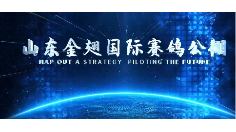 賽鴿宣傳片