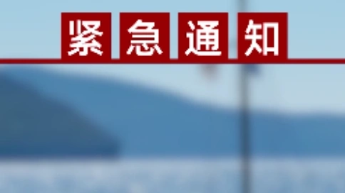 信息流廣告，證券