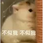 宮保雞丁做法