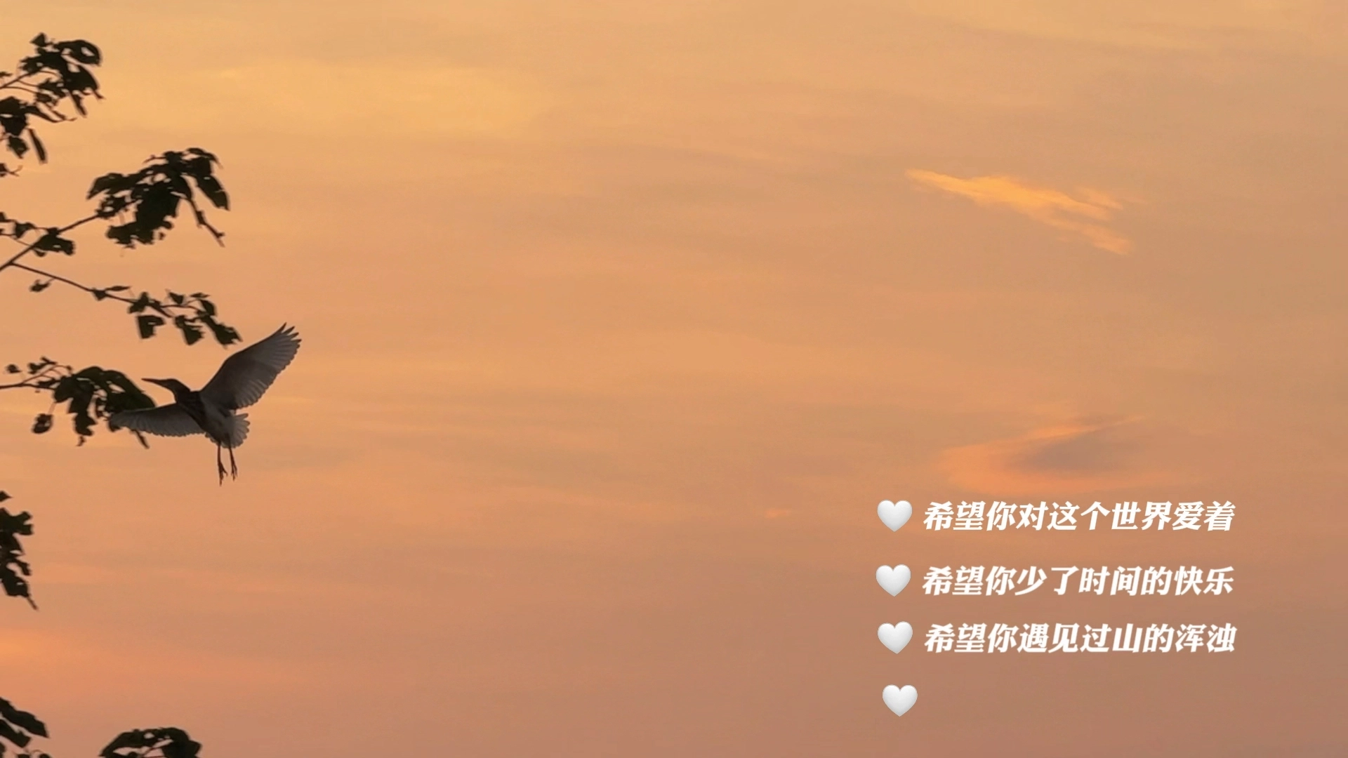 太陽已落山