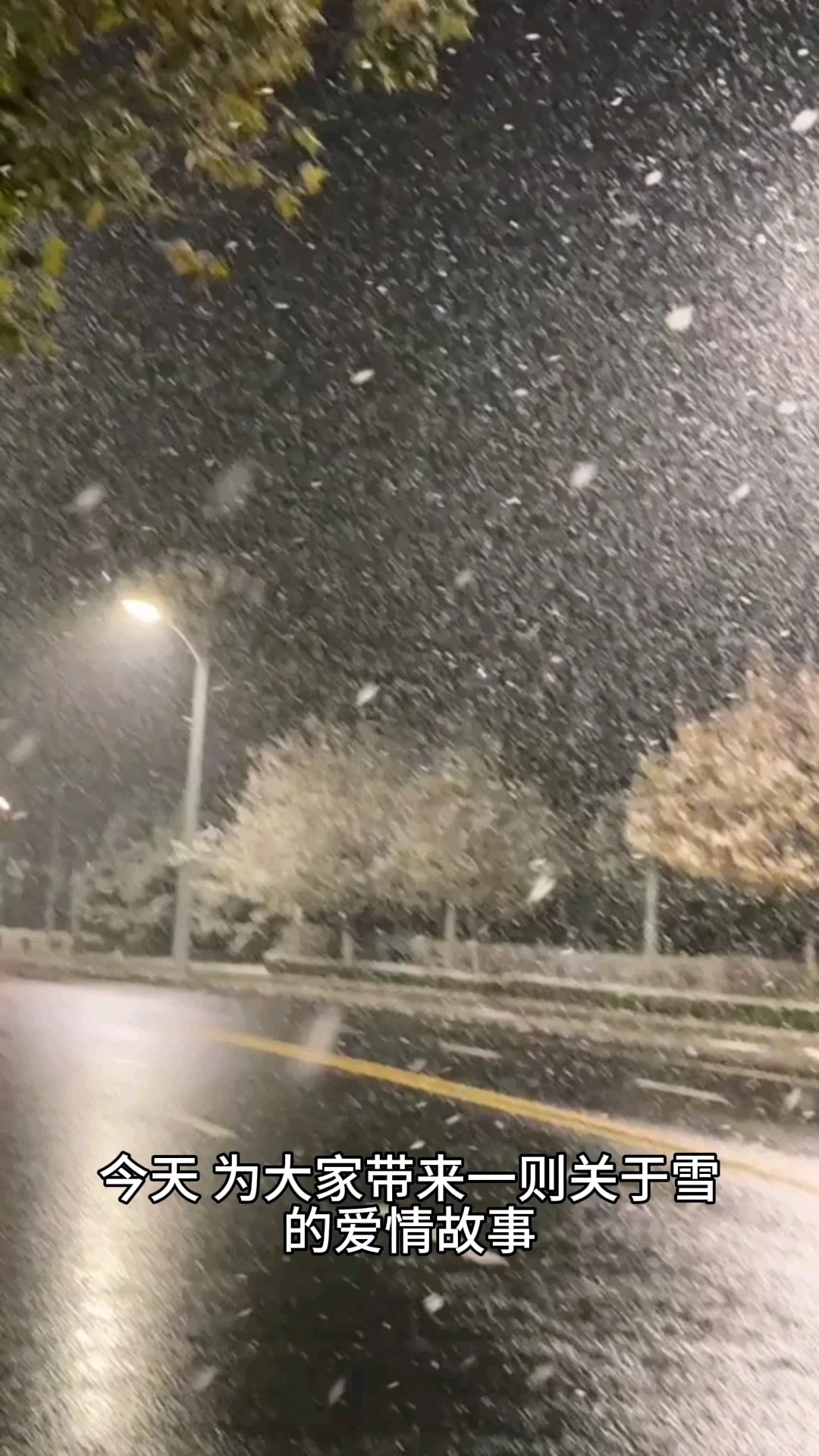 雪，又是多少人的遺憾呢？