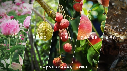 京东超市百亿农补「倒莓日记」