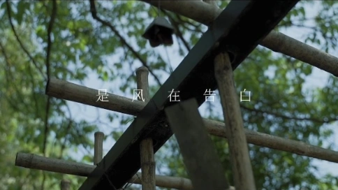 人物情緒小短片