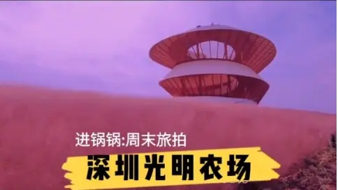 深圳游玩vlog