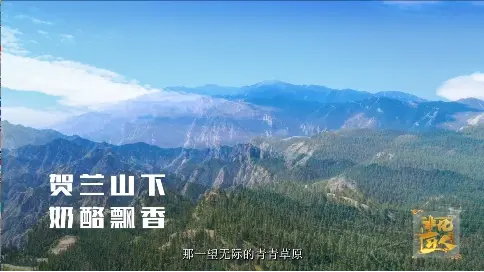 非凡匠人-《賀蘭山下 奶酪飄香》