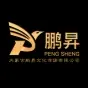 災(zāi)害風(fēng)險(xiǎn)調(diào)查匯報(bào)片