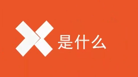 何为“X”