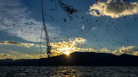 昆明海洪湿地公园