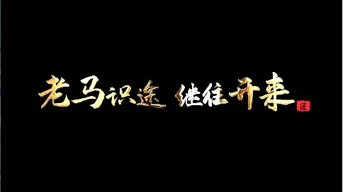 非凡匠人 -《老馬識(shí)途 繼往開來》