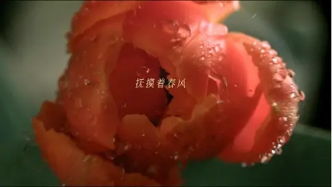 雅迪 x 小紅書(shū) x 闞清子｜摩登由你 （Dir）