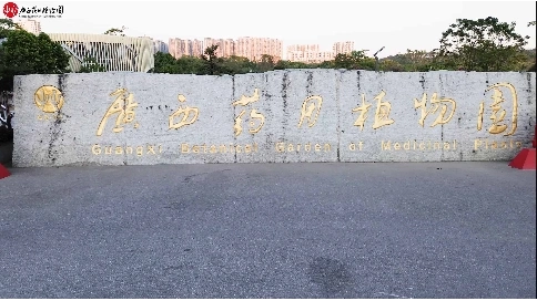 我眼中的植物园/