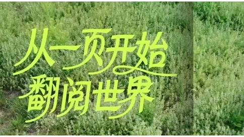 京東圖書 閱讀狂歡節(jié)