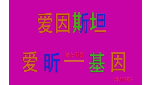 汉语言哲学视角下的爱因斯坦名字拆解：爱心与基因的神秘联系