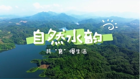 三亞育才 探秘育才綠色瑰寶，感受自然之饋與鄉(xiāng)村逸趣