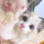 企業(yè)宣傳片