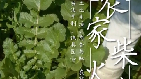 农家生活家常菜