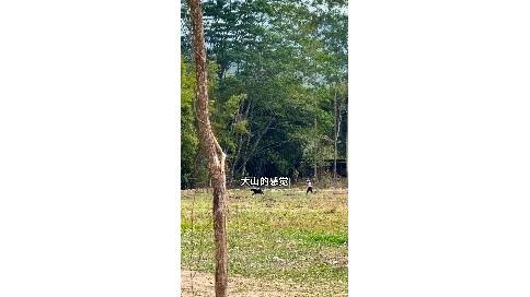 viog類(lèi) 慢節(jié)奏記錄日常剪輯