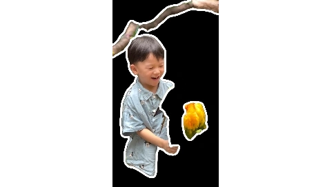 特效制作+viog類(lèi) 慢節(jié)奏日常剪輯
