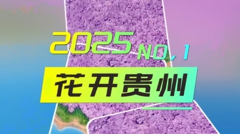 2025花开贵州宣传片