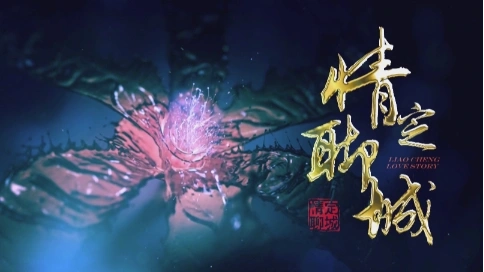 情定聊城（山东省聊城市微电影宣传片）