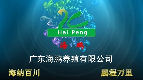 广东海鹏养殖有限公司宣传片