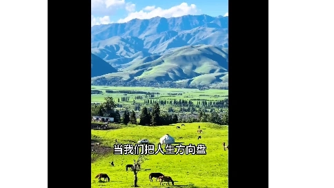 旅游類短視頻 