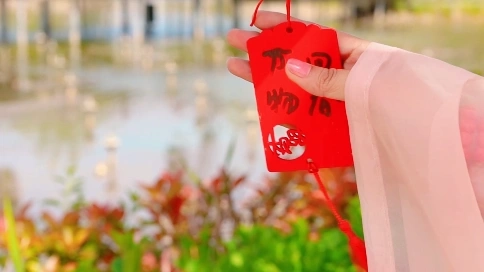 濮水小鎮(zhèn)短片