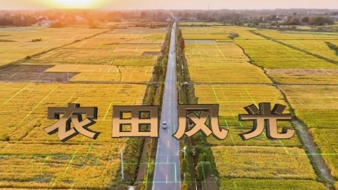 航拍農(nóng)田特效