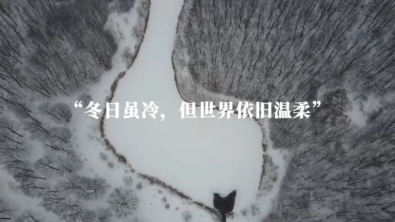 冬日雖冷。大世界依舊溫暖