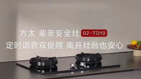 方太辈亲安全灶02-TD10 全新上市