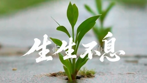 國際生物多樣性日