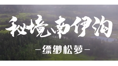 秘境南伊 缥缈松萝