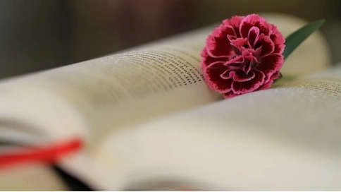 解除事由、后果及違約責(zé)任的預(yù)先約定有何內(nèi)在邏輯？