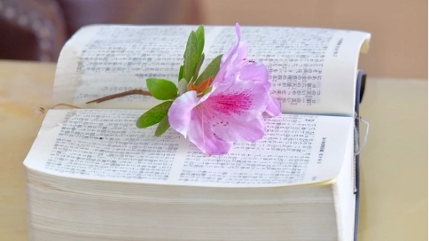 編劇超出約定期限交付劇本，何種情形下不構(gòu)成違約？