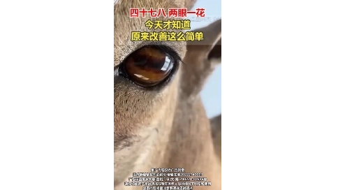 大健康-口播