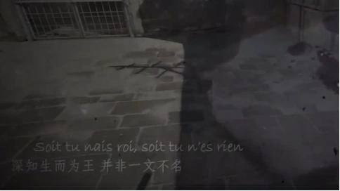CS 荣耀向我俯首