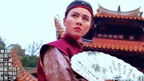 袁洁莹的武侠光影
