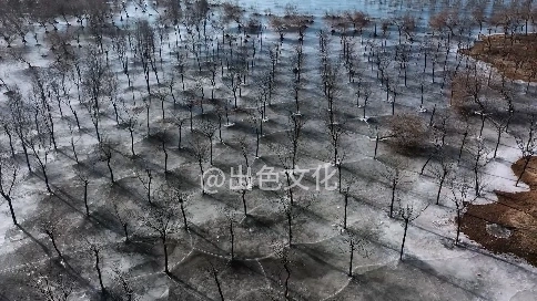 生态森林公园