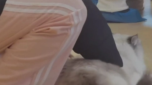 成都春熙路美食vlog
