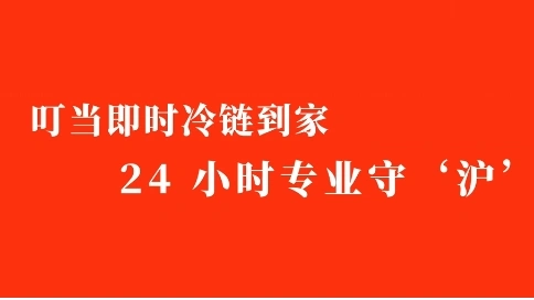 叮当快药宣传片