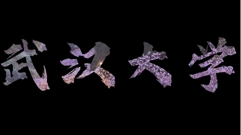 武漢大學(xué)視頻剪輯