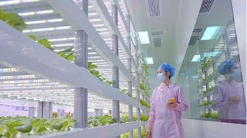 《植物工廠》