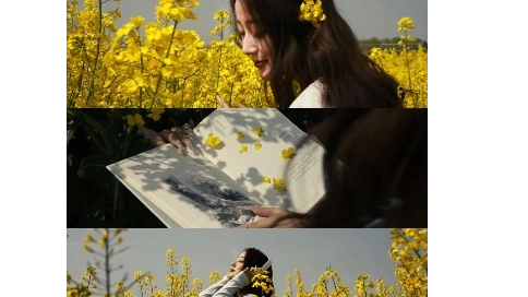 人像情绪短片