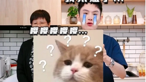 毛毛姐直播切片