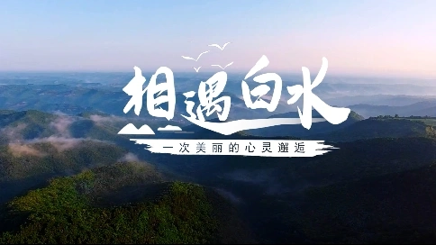 白水旅游宣传片