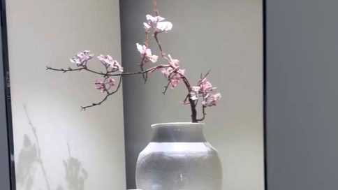 日常剪辑视频