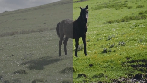 劇情短片達芬奇調色設計