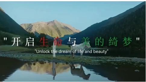 華美麗合 再生藝術